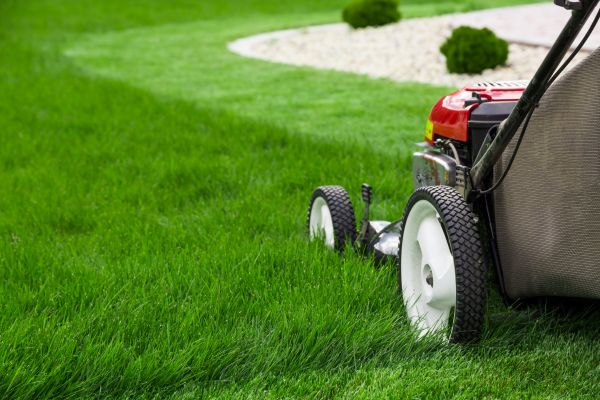 Mowing Service in Pensacola