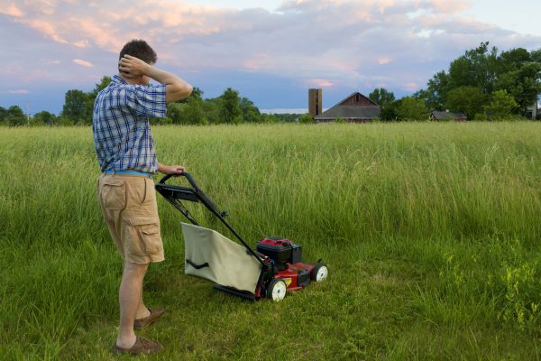 Tall Vegetation Mowing