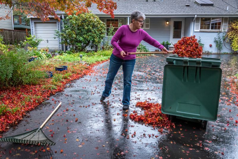 Leaves Being Raked by Professionals