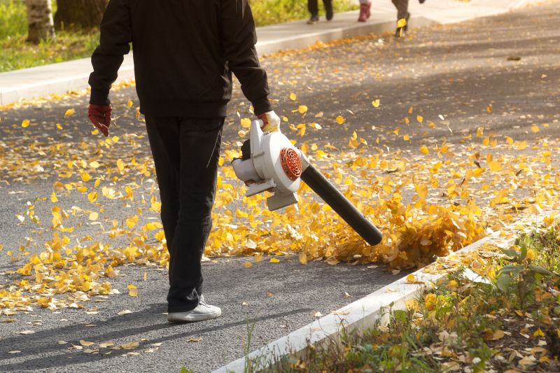 Equipment Used for Leaf Removal