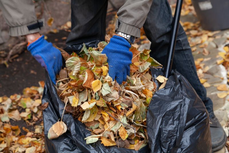 Leaves Being Collected