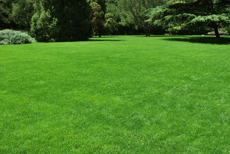 Residential Lawn Care detail