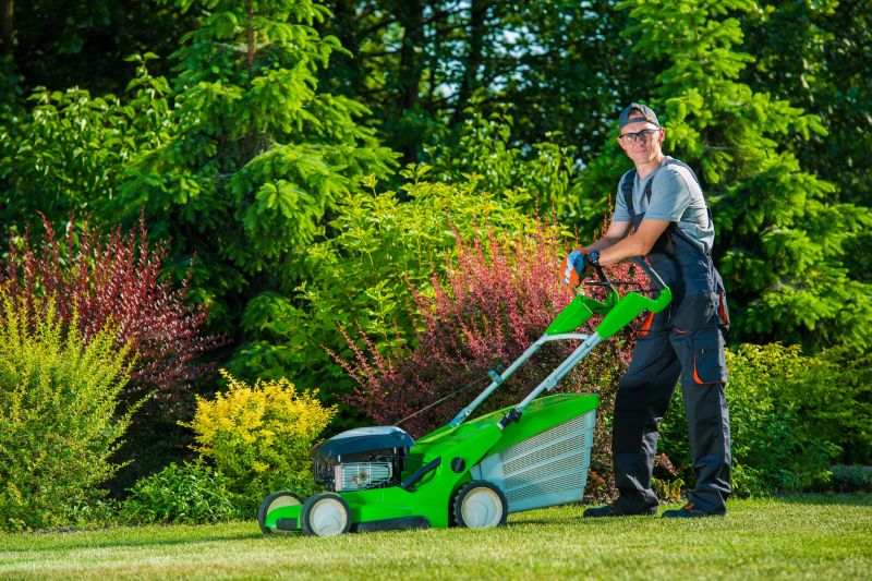 Lawn Mowing in a Residential Yard