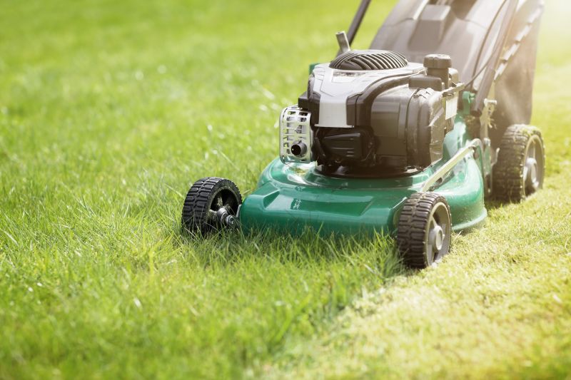 Mowing a Healthy Lawn