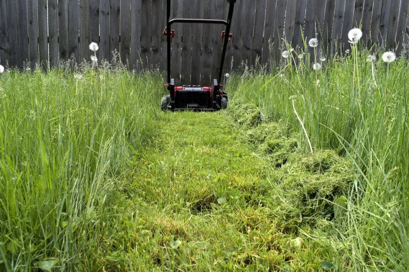 Close-up of Mowed Grass